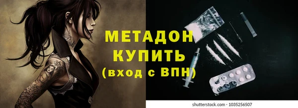 шишки Белоозёрский