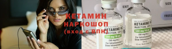 шишки Белоозёрский