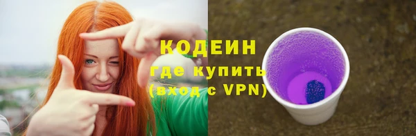 шишки Белоозёрский