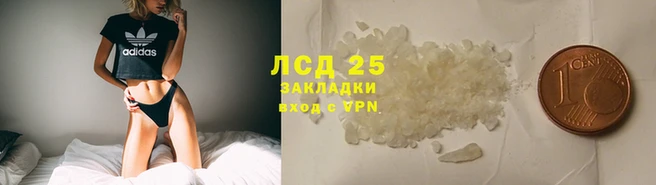 PSILOCYBIN Беломорск