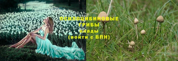 шишки Белоозёрский