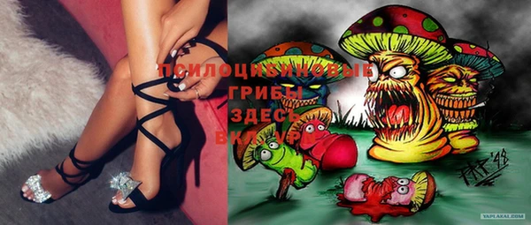 PSILOCYBIN Беломорск