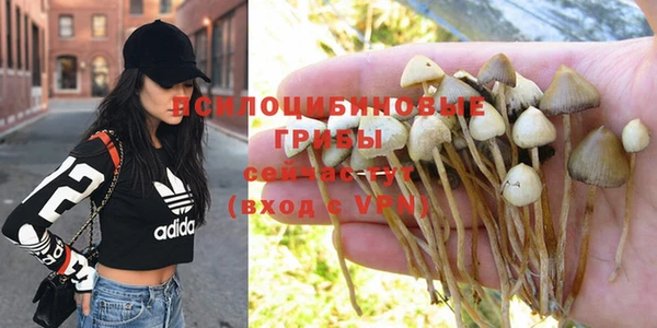 PSILOCYBIN Беломорск