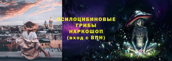 шишки Белоозёрский