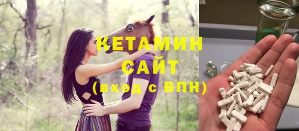 шишки Белоозёрский