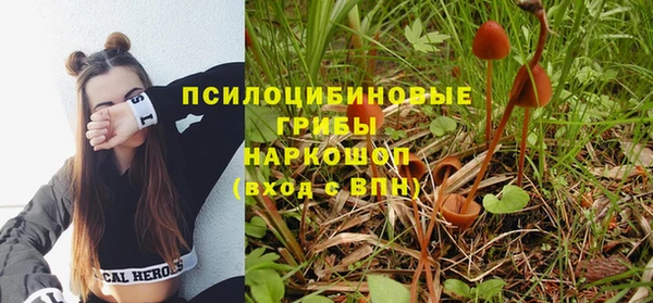 PSILOCYBIN Беломорск