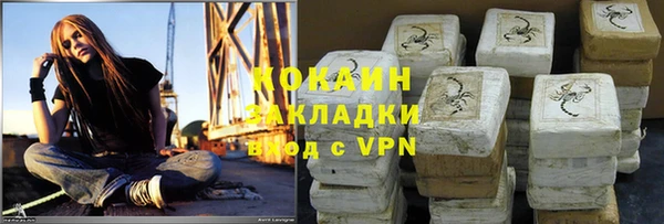 шишки Белоозёрский