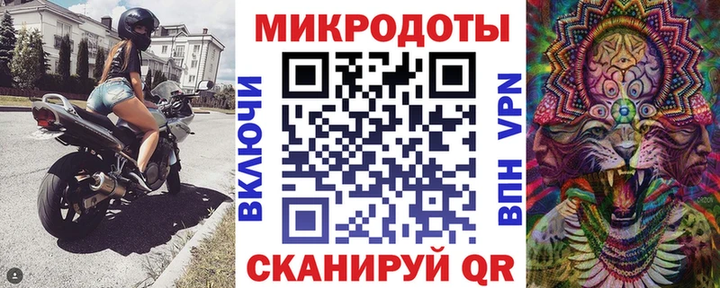 Псилоцибиновые грибы Psilocybe  Верещагино 